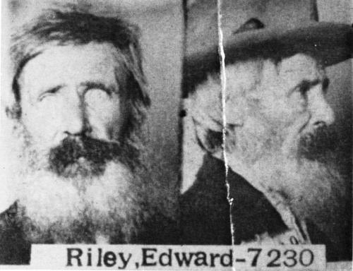 Edwin Riley 8694 (Photo: SROWA Cons 4173/8)