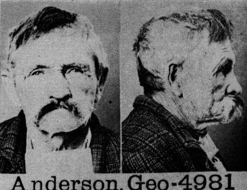 George Anderson 3786 (Photo: Australia's Last Convicts SRO Cons 4173/6/48)